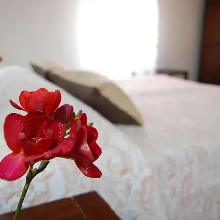 Nocleg ze śniadaniem Il Mirto E La Rosa 3*