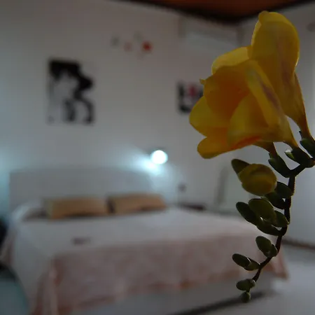 Il Mirto E La Rosa Bed & Breakfast Arenella (Syracuse)