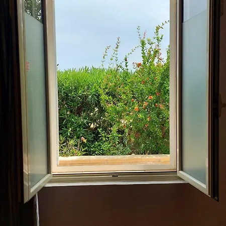 Il Mirto E La Rosa Arenella (Syracuse)